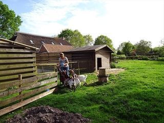 Foto van SVR Camping de Berghoeve (Ruinen)