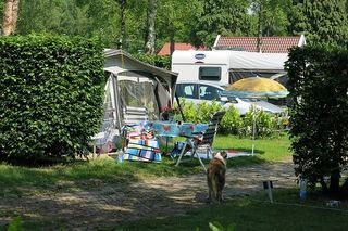 Foto van Camping Residence De Eese