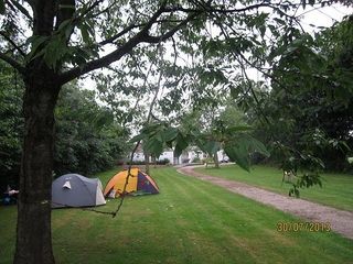 Foto van Camping Het Groene Hart van Ternaard