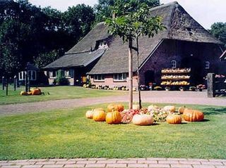 Foto van Boerderijcamping De Berkebomen