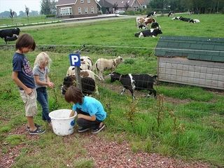 Foto van Boerencamping Buitenlust