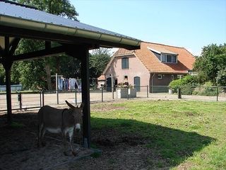 Foto van Minicamping Larik's Hoeve