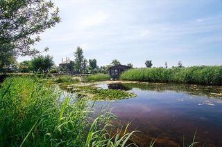 Foto van Minicamping polderflora