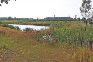 Foto van Landschapscamping Wetland