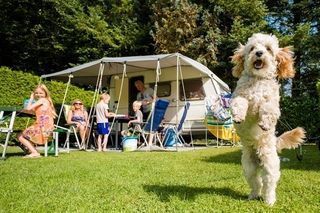 Foto van Camping Vossenberg