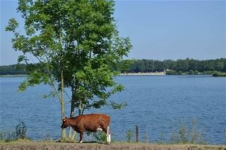 Foto van Camping Kampeerhoeve Bussloo