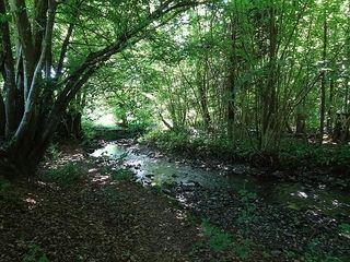 Foto van Camping Beau Rêve