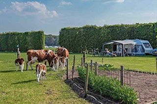 Foto van SVR Boerderijcamping Varsenerveld