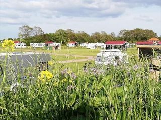 Foto van Camping Het Noordenveld