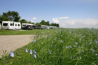 Foto van Camping Den Molinshoeve