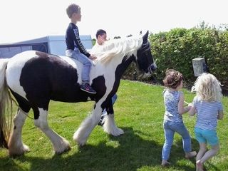 Foto van Minicamping Dorpszicht