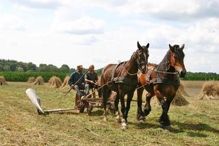 Foto van Natuurcamping Molenduin