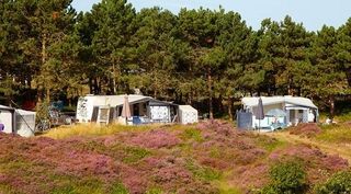 Foto van Texelcamping Loodsmansduin