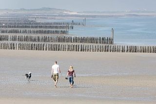 Foto van Camping Park Hoogduin