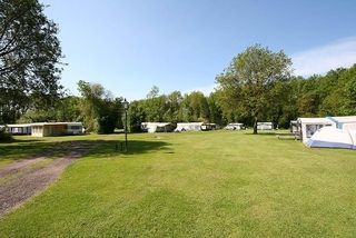 Foto van Camping De Hanestede