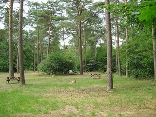 Foto van Natuurkampeerterrein Lheederzand