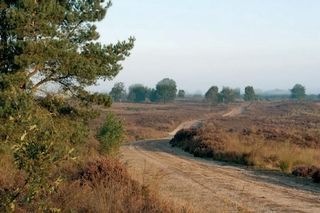 Foto van Camping De Paalberg