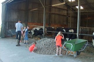 Foto van Boerderijcamping De Oosthoek