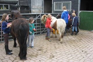 Foto van Minicamping De Bokkesprong