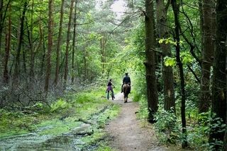 Foto van Boomgaardcamping Het Bovenste Bos