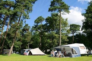 Foto van Camping RCN het Grote Bos