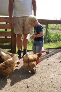 Foto van Minicamping Zorg En Vrij