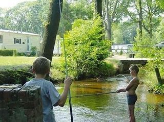 Foto van Camping Berkenstrand