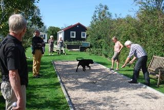 Foto van Minicamping De Visser