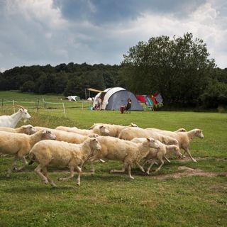 Foto van SVR Farm & Camping Lazy