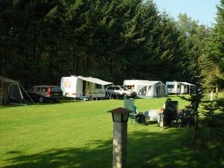 Foto van Camping Reeendal