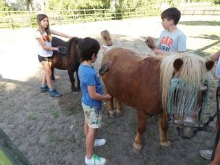 Foto van SVR Minicamping de eendenkooi