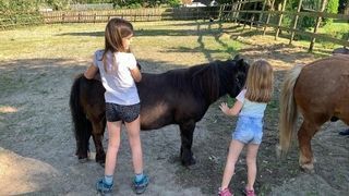 Foto van SVR Minicamping de eendenkooi