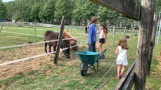 Foto van SVR Minicamping de eendenkooi