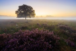 Foto van SVR Camping De Veldscholte