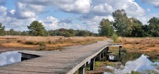 Foto van SVR Camping De Veldscholte