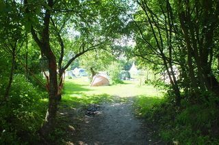 Foto van Landgoedcamping De Zonnebloem