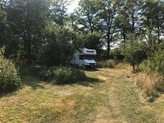 Foto van Landgoedcamping De Zonnebloem