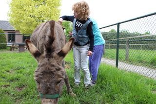 Foto van Pipowagen Camping Puur Genieten