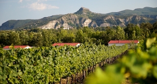 Foto van Camping De Peyroche