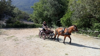 Foto van Camping Domaine De La Gautière