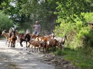 Foto van SVR Camping Quinta Rural