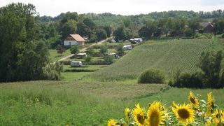 Foto van Camping Het Koetshuis