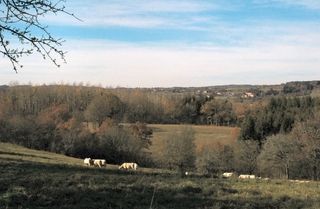 Foto van SVR Camping Rochemaux