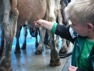 Foto van SVR Boerderijcamping Sonneclaer