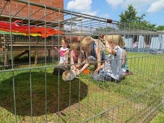 Foto van Minicamping Boerenhof