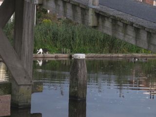 Foto van Camping It Krúswetter