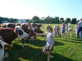 Foto van SVR Boerderijcamping Varsenerveld