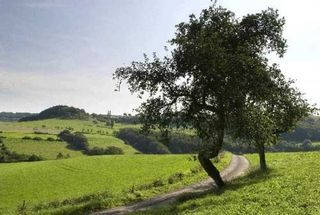 Foto van SVR Camping Neumuhle