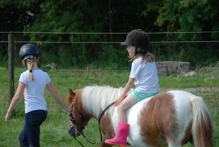 Foto van Boerderijcamping De Paardenwei