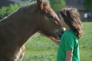 Foto van Boerderijcamping De Paardenwei